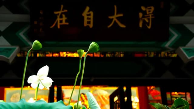 如幻觀 無明實性即佛性