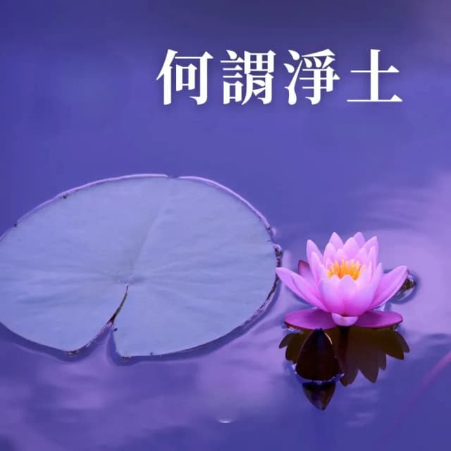 何謂淨土