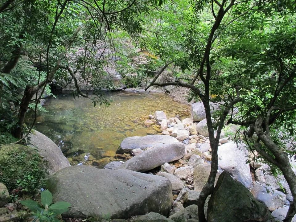 東蓮覺苑弘法精舍