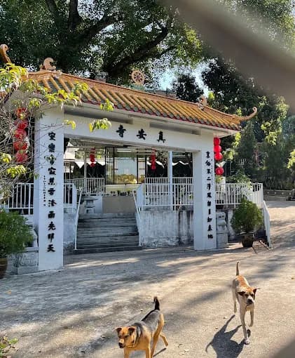 真安寺
