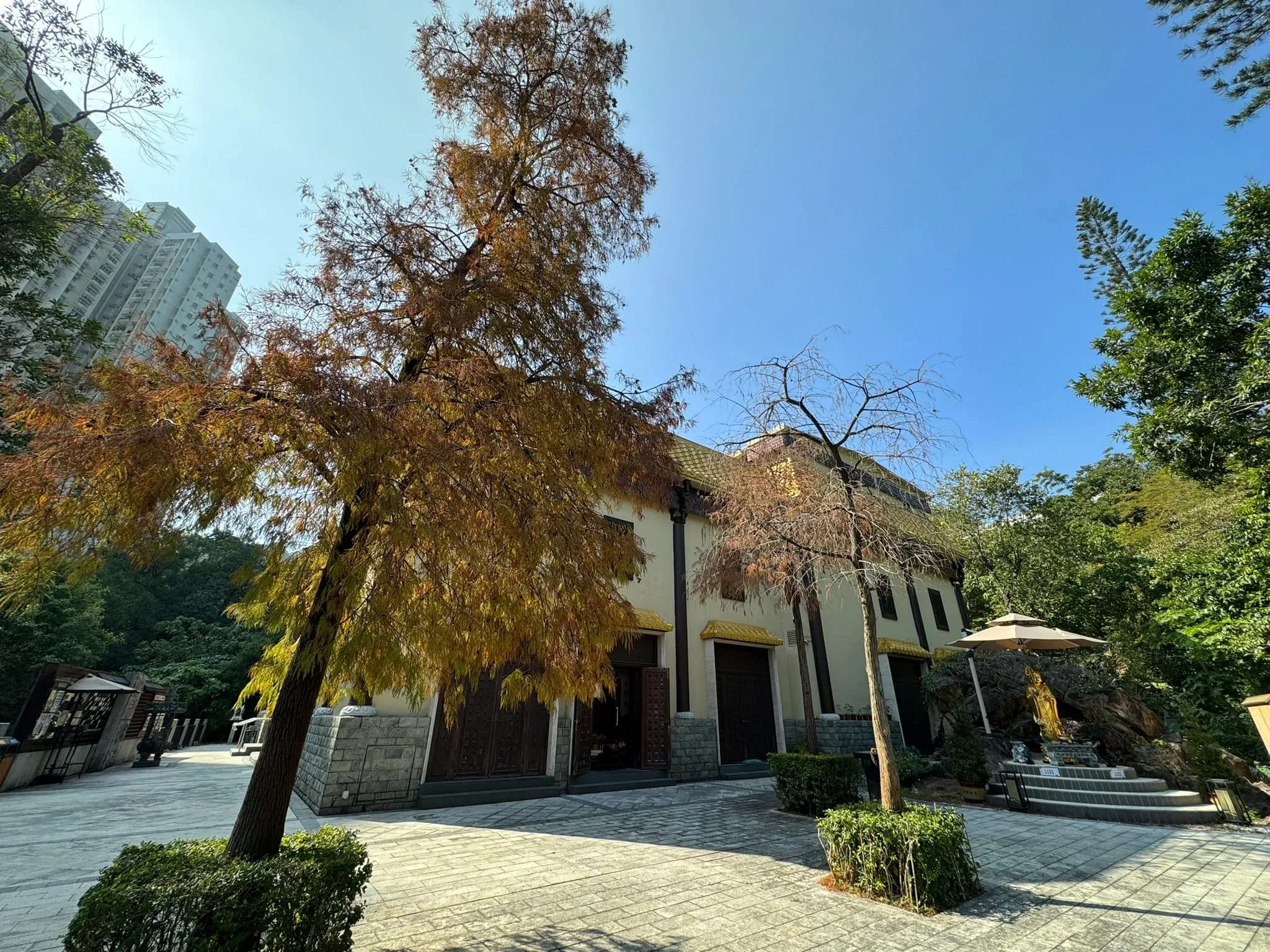 普光明寺
