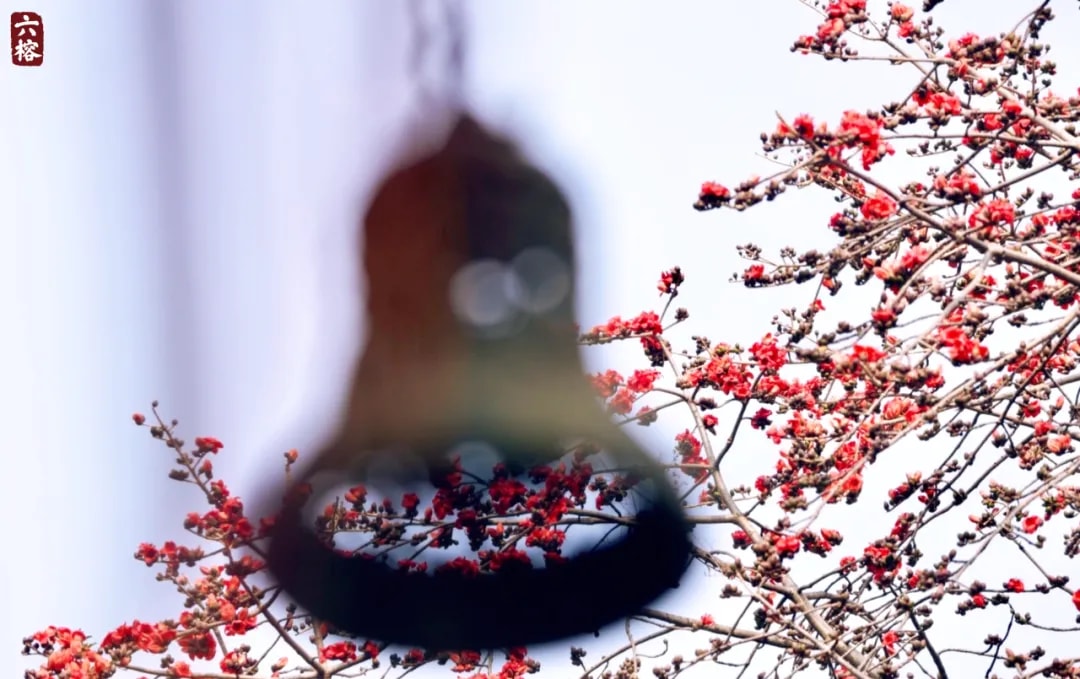 慈悲護生 | 物我同欣慶 共證真如性