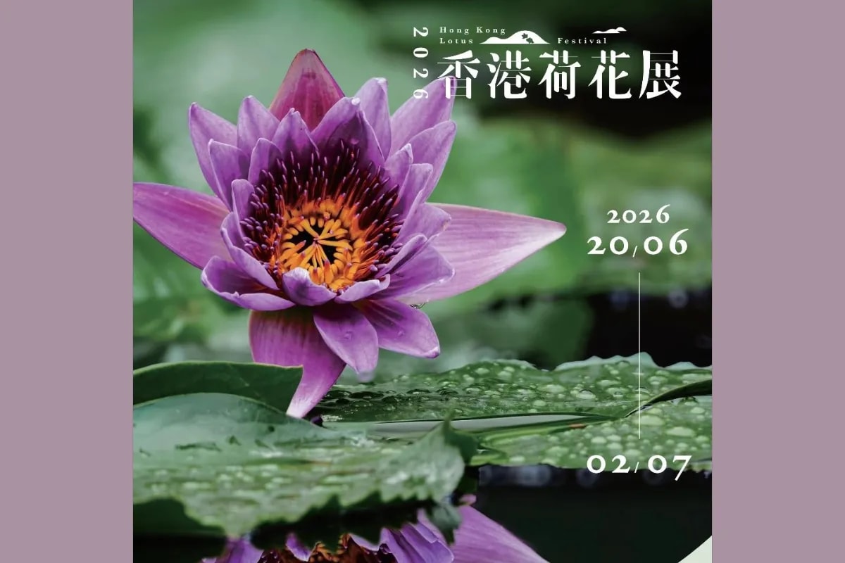 香港荷花展 2026