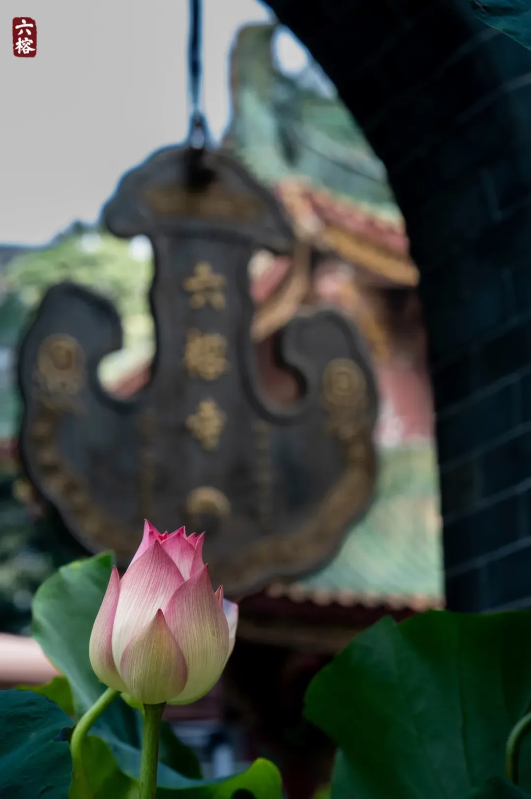 孝為戒先  知恩報恩 佛門的孝親觀