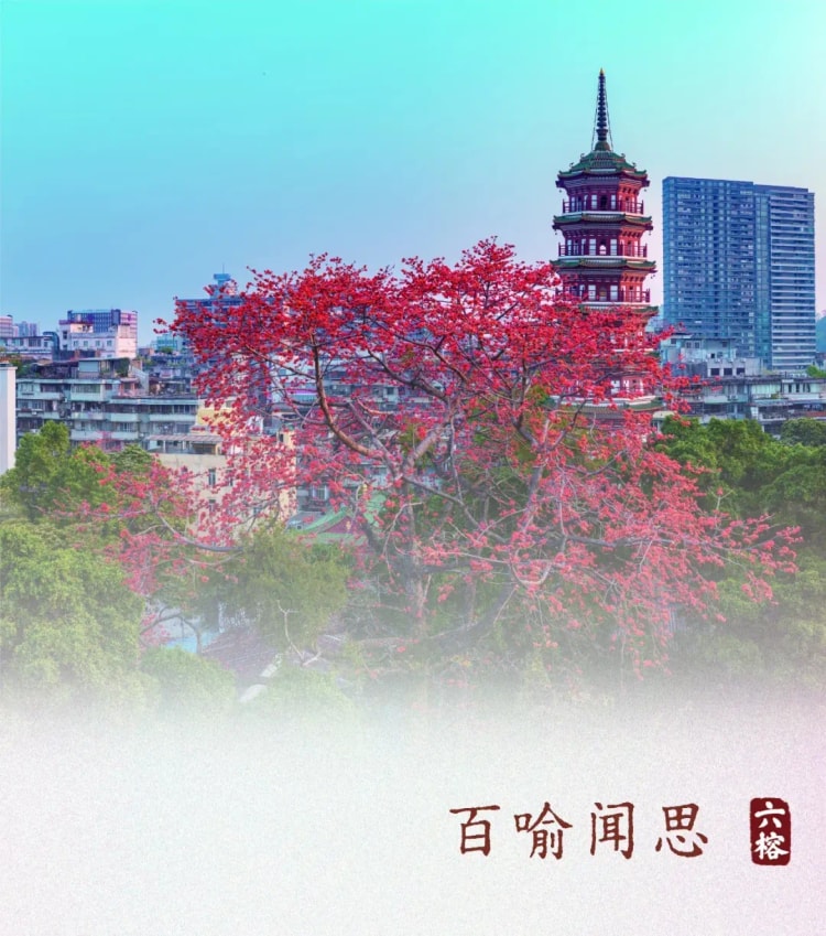 顛倒的「智者」