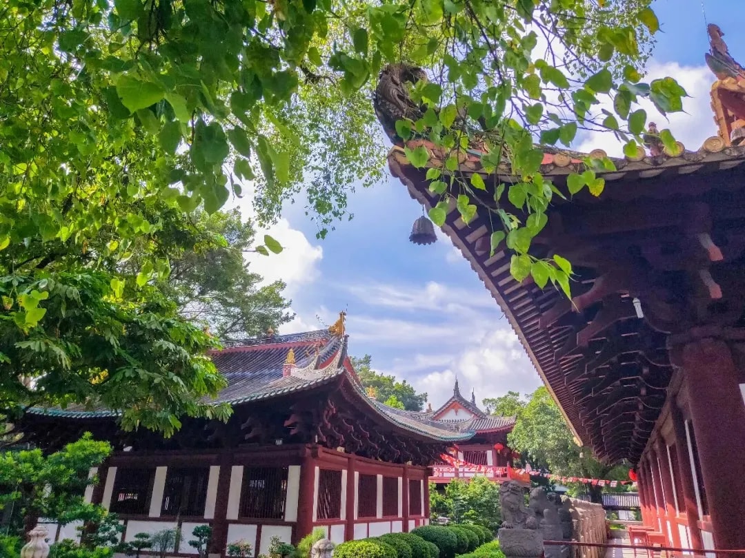 佛法四种层次的「信」