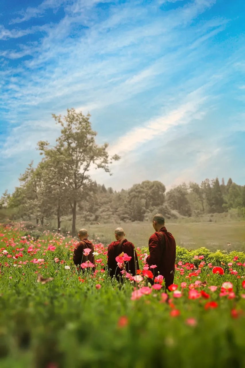 佛法中善惡的標準