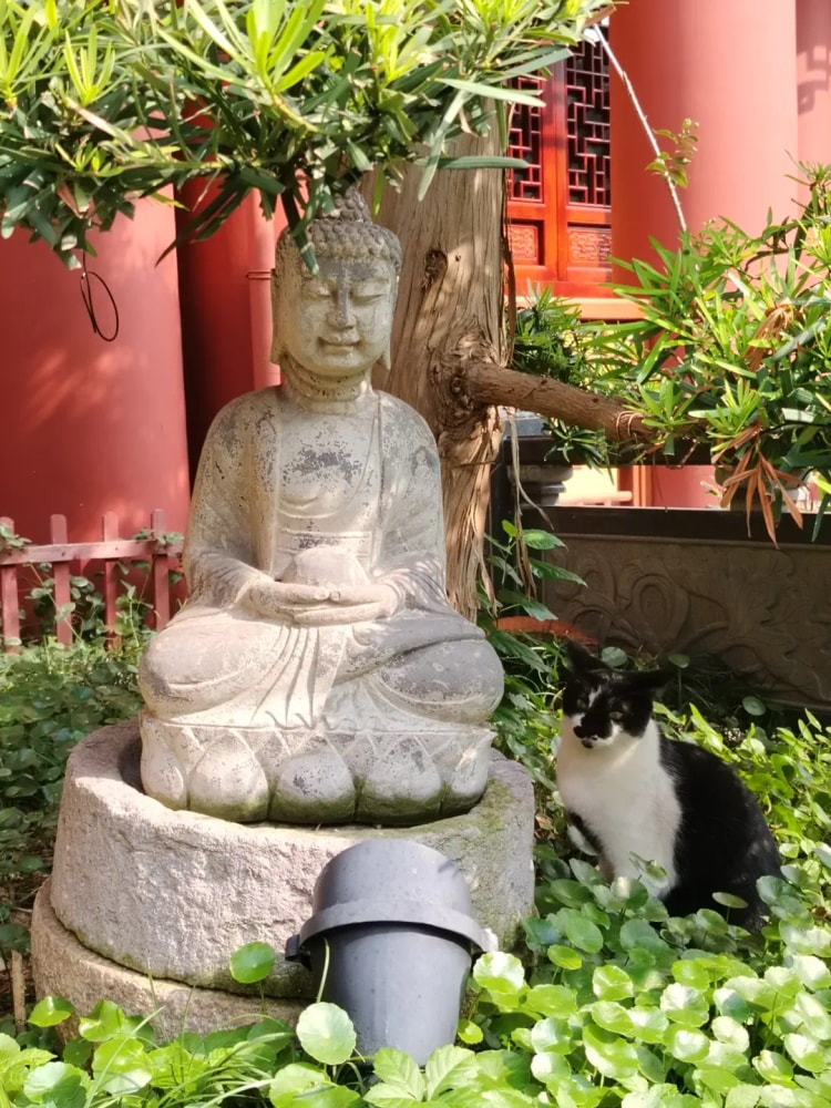 「隨緣」隨的是什麼緣？