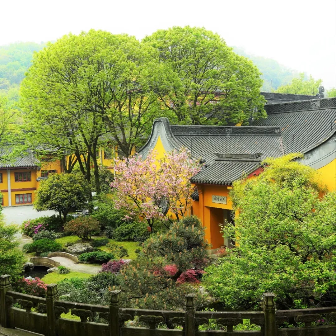 觀點 |  保護環境  克服欲望與貪婪 (上)