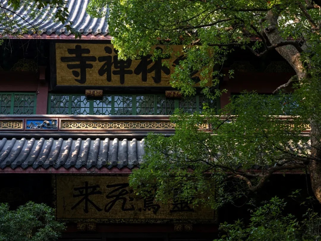 龍樹學說的主要內容是甚麼？