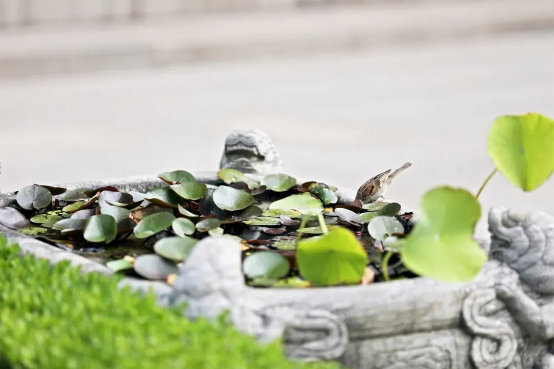 戒律到底是不是一种束缚？