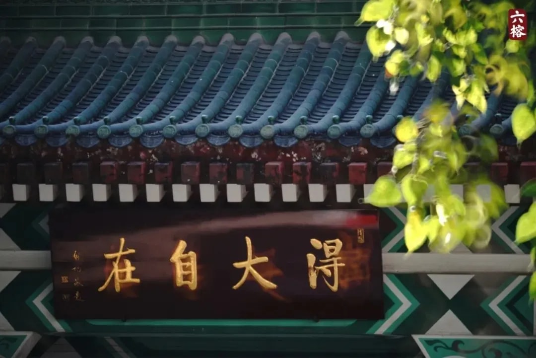 聽師父說：怎樣是無分別的布施