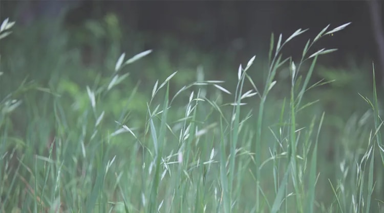 精进生活禅(下)