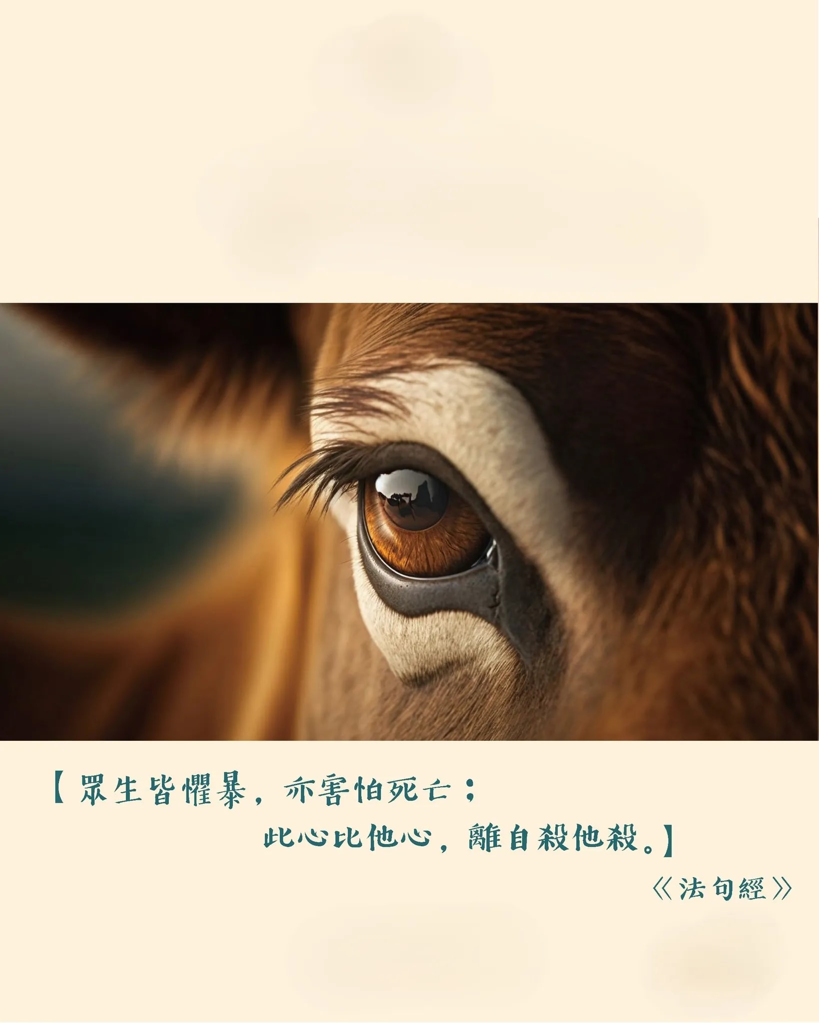 佛教不殺生戒律的起源是甚麼？