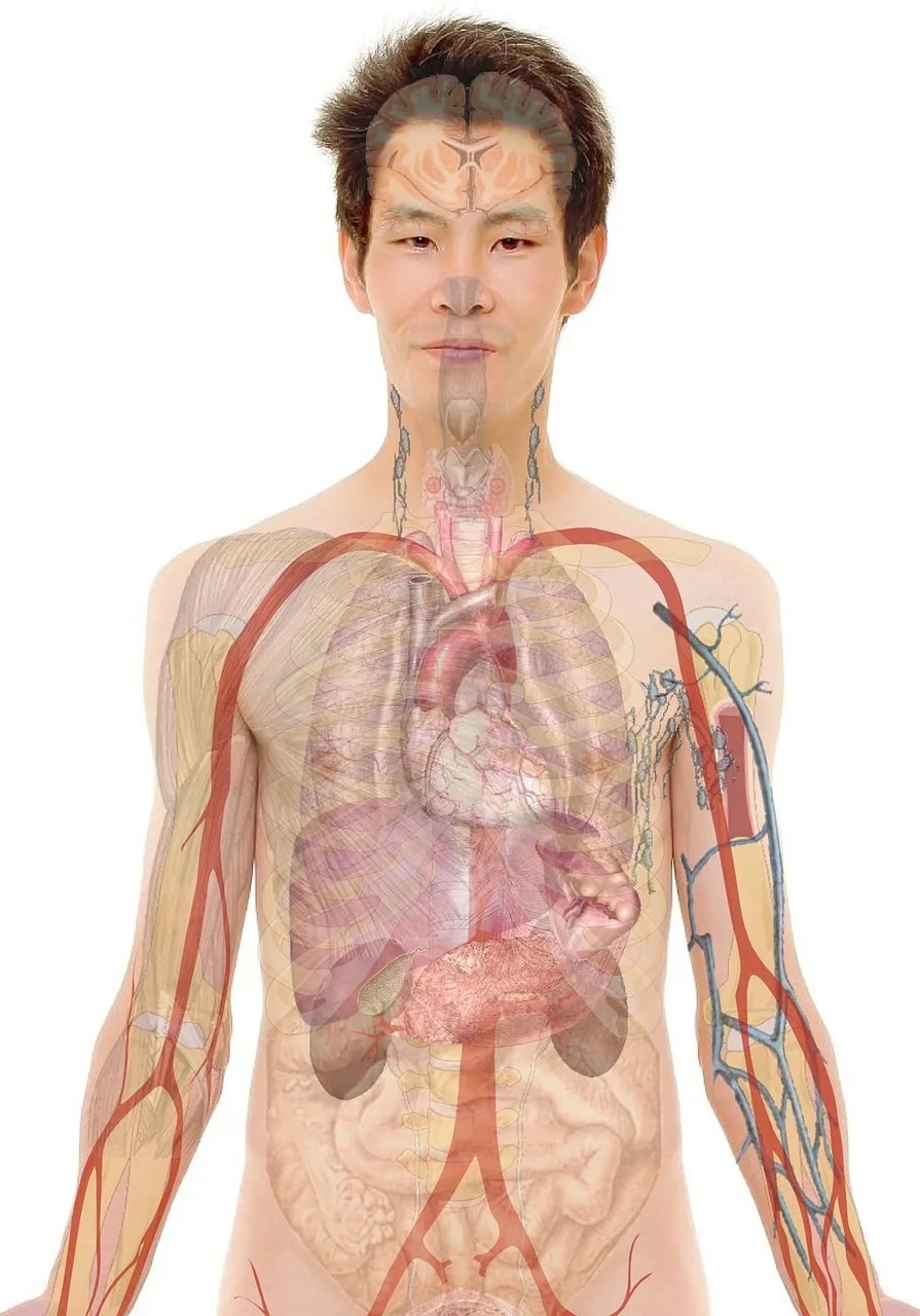 從另外一個角度看食素---酸鹼值