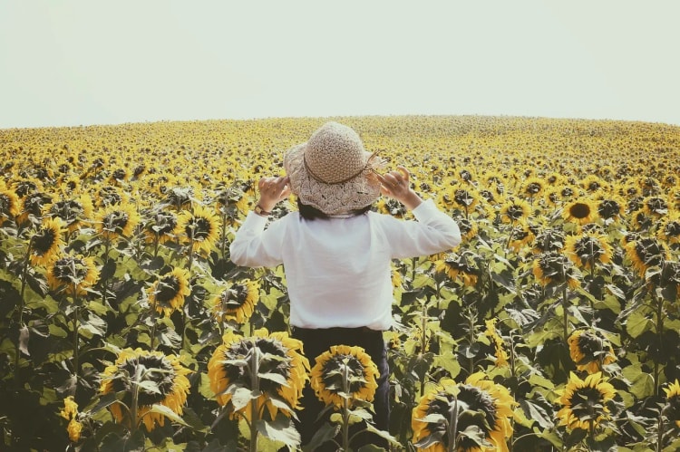 生活中都是不如意的事怎樣解決？