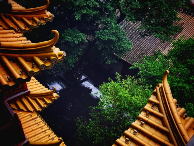 趙州禪師的待客之道