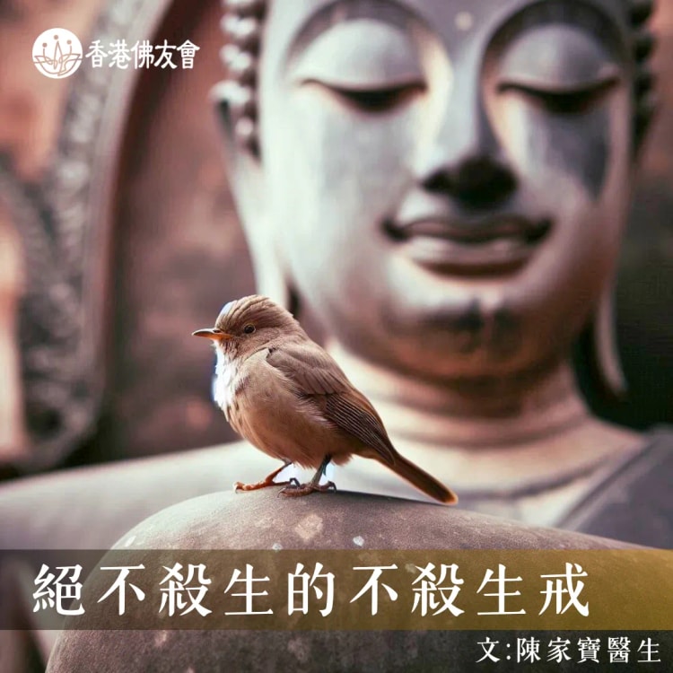 絕不殺生的不殺生戒